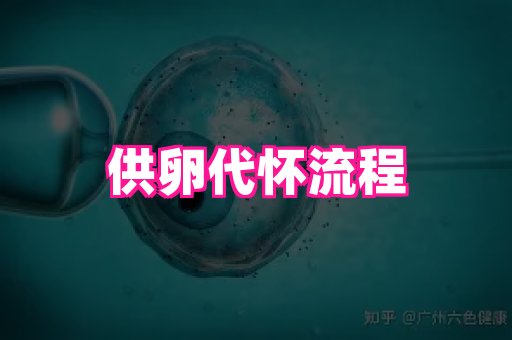 nub孕网 2